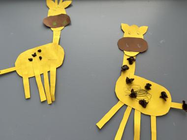 Giraffer i pap.